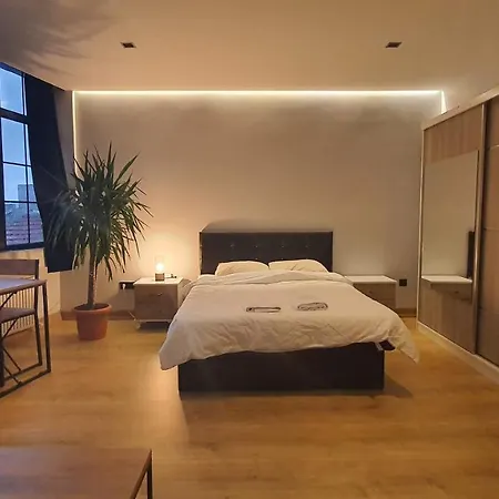 Deluxe Economic Great Condition Rooms, Central Shared Flat In Taksim Center