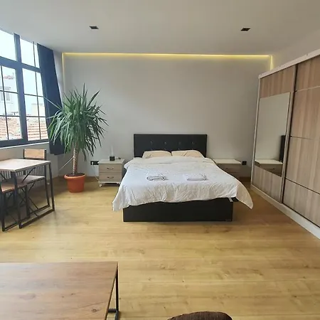 Deluxe Economic Great Condition Rooms, Central Shared Flat In Taksim Center